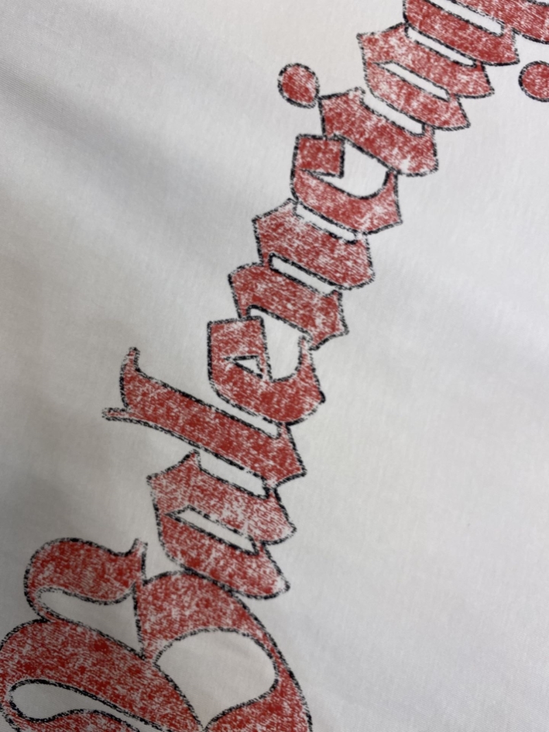 Ba1en*iaga t-shirts